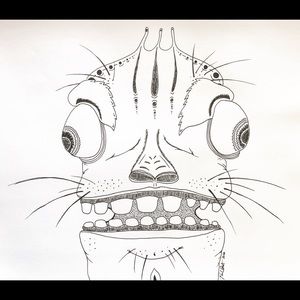 Meet your Posher, Paul